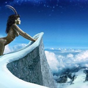 Meet your Posher, Indigo